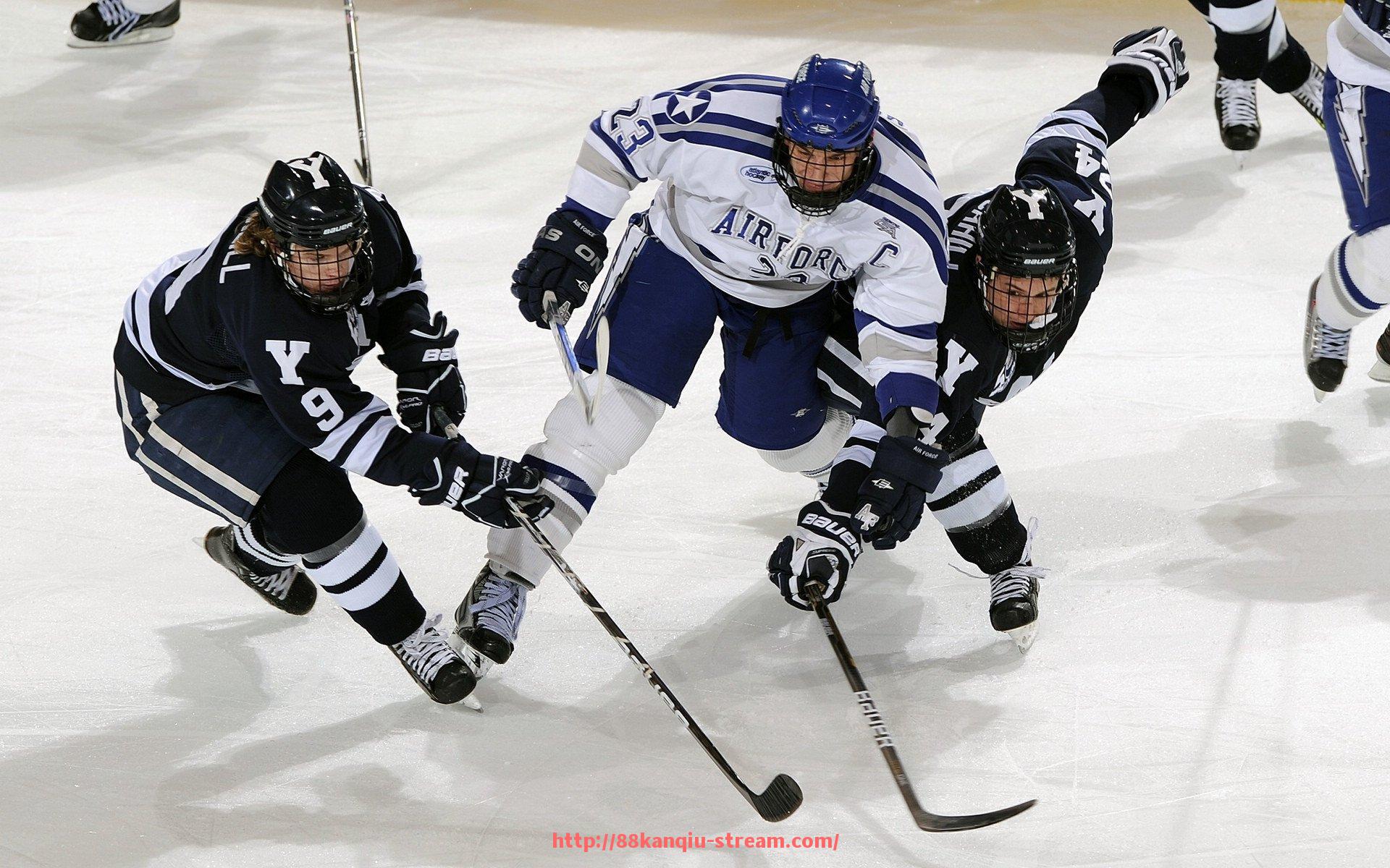 88看球网-CBA现有多少支球队及其赛季发展计划